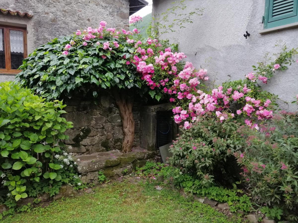 Sesta Godano B&B Alle Ortensie Blu מראה חיצוני תמונה
