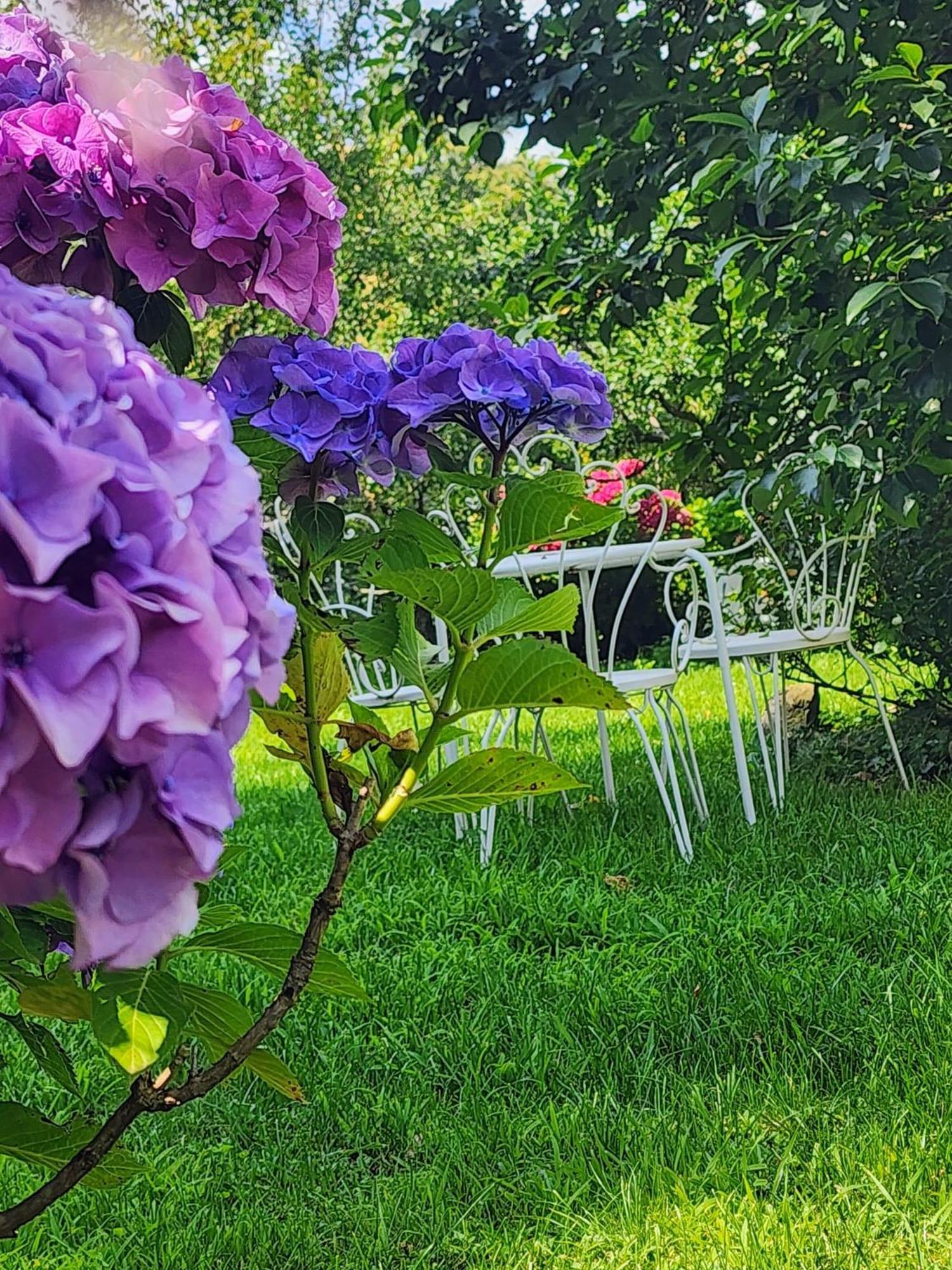 Sesta Godano B&B Alle Ortensie Blu מראה חיצוני תמונה