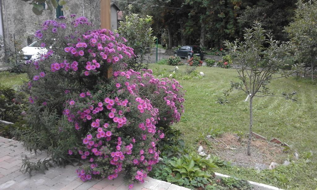 Sesta Godano B&B Alle Ortensie Blu מראה חיצוני תמונה