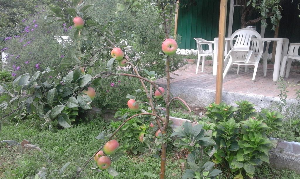 Sesta Godano B&B Alle Ortensie Blu מראה חיצוני תמונה